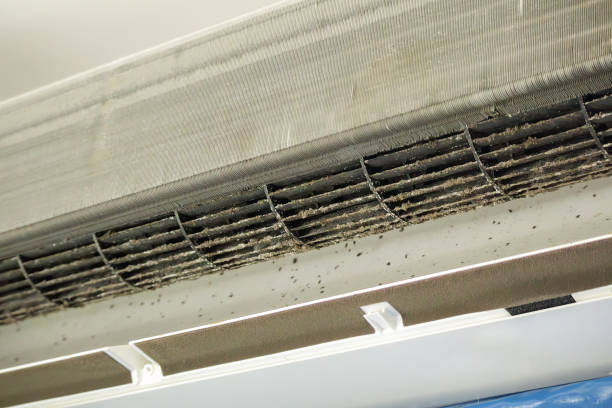 Best Local Air Duct Cleaning Services  in Chillicothe, OH